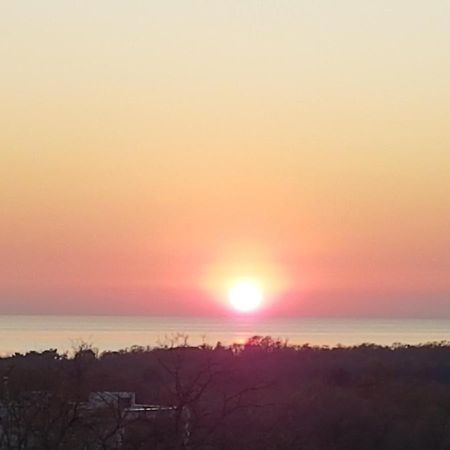 Apartments & Rooms Villa Adamovic Umag Bagian luar foto